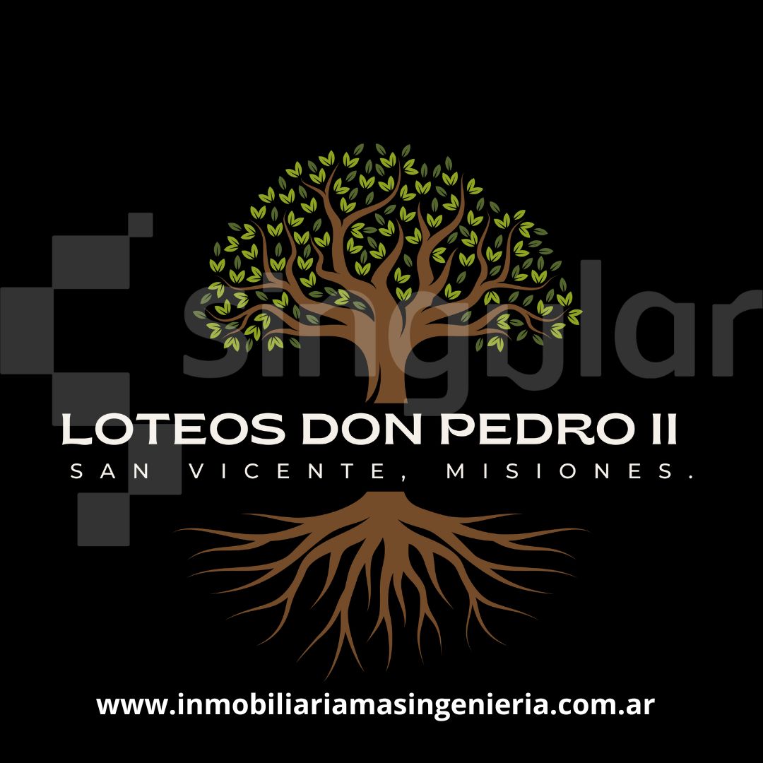 Don Pedro II - 135 Lotes en San Vicente - Misiones