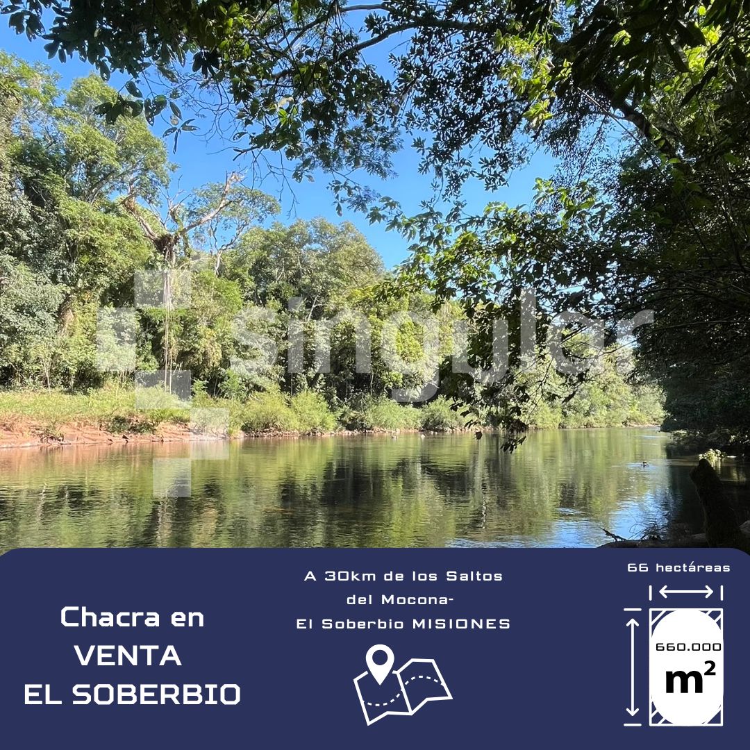 Chacra en venta de 66 hectáreas  en El Soberbio - Misiones