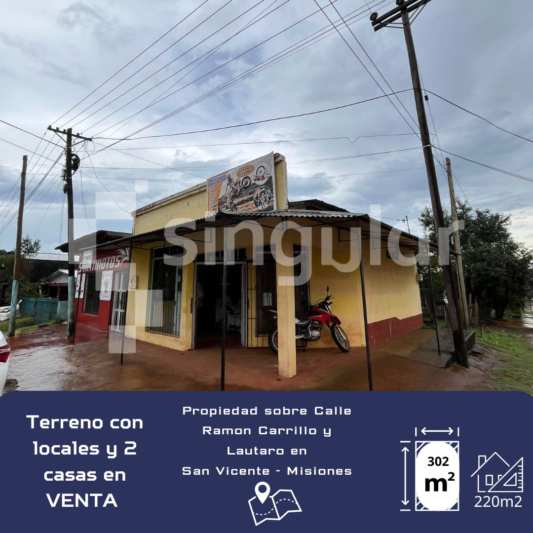 Terreno con 2 locales y 2 casas en venta - San Vicente 